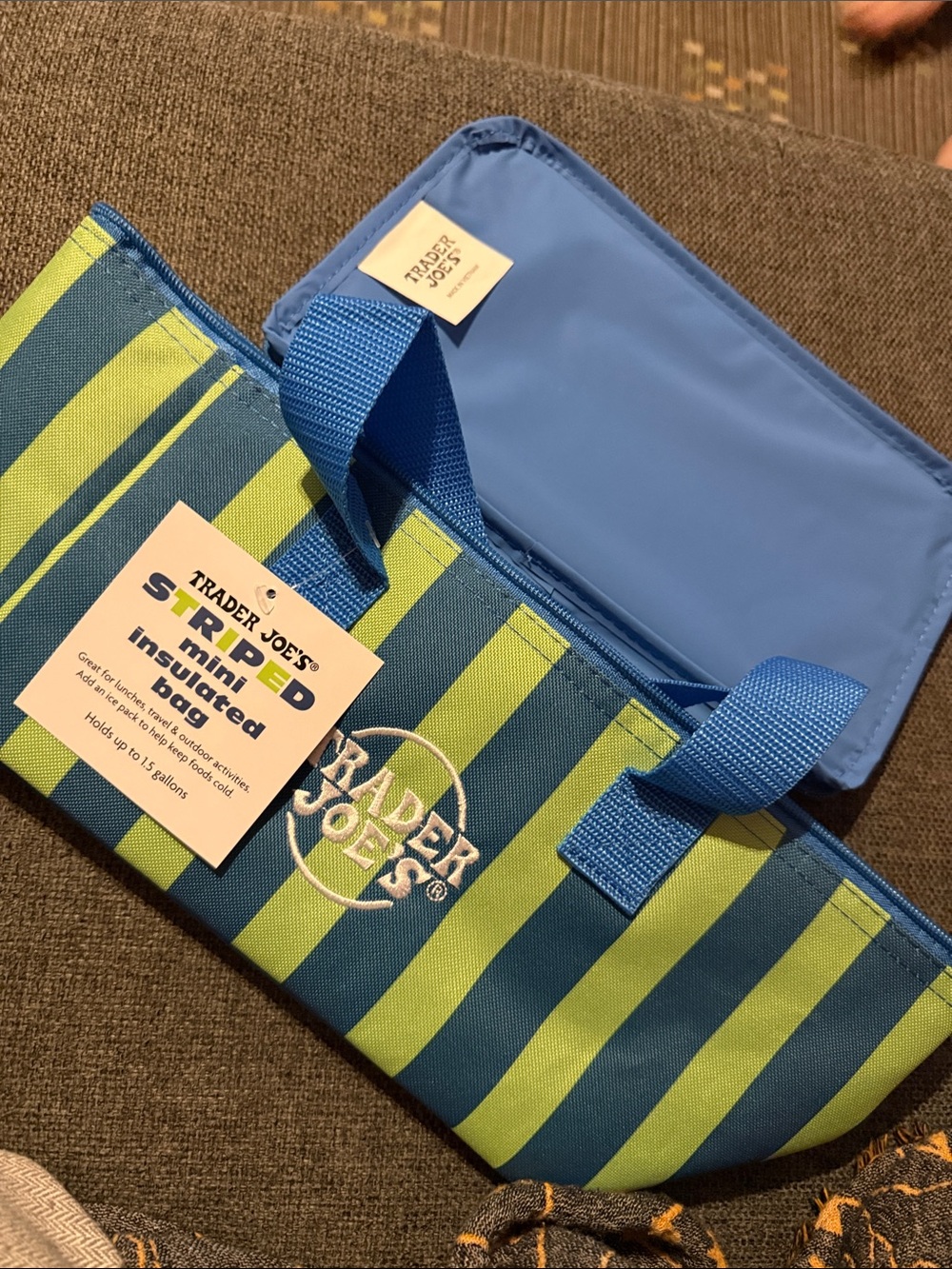 Trader Joe's Kids Striped Insulated Mini Tote - Blue & Lime